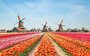 Amsterdam Countryside Tours